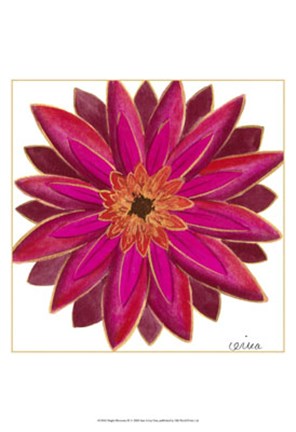 Framed Bright Blossoms III Print