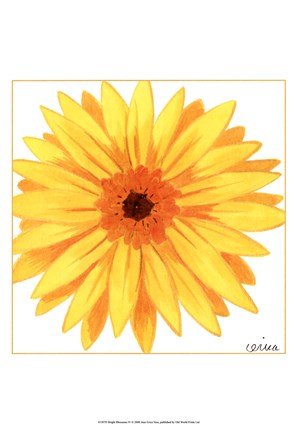 Framed Bright Blossoms IV Print