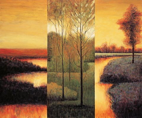 Framed Vistas II Print