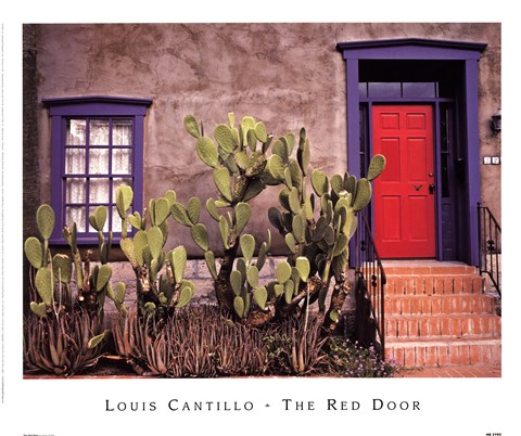 Framed Red Door Print