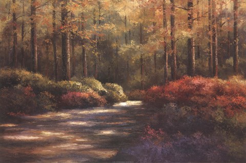 Framed Autumn Trail Print