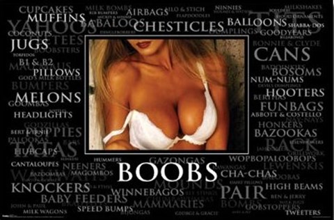 Framed Boobs! Print