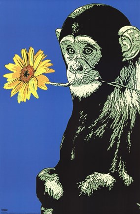 Framed Monkey Flower Print