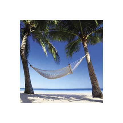 Framed Paradise Print