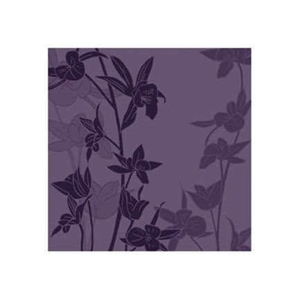 Framed Orchids Print