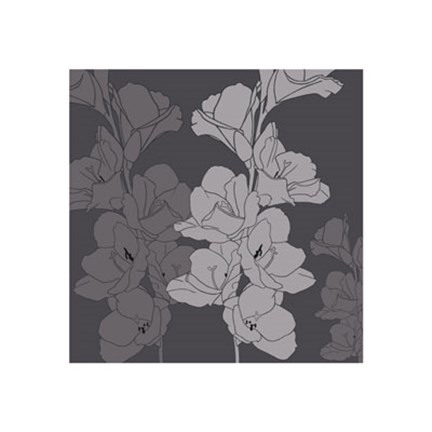 Framed Gladiolus Print