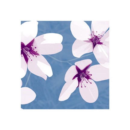 Framed Blossom #2 Print