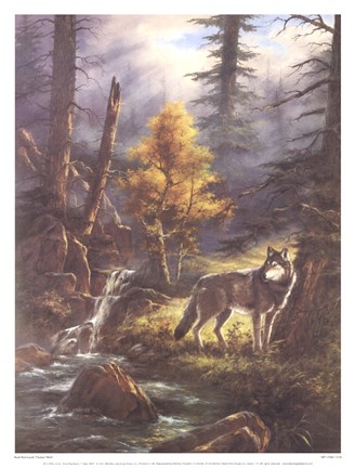 Framed Timber Wolf Print