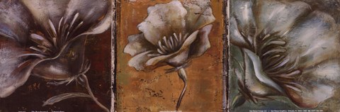 Framed Three Poppies I Print