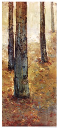 Framed Tranquil Forest I Print