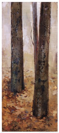 Framed Tranquil Forest II Print