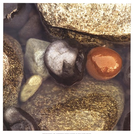 Framed At A Stand Still Print