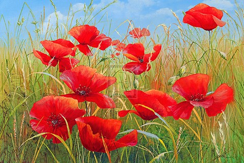 Framed On A Summer Breeze Print