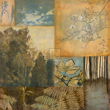 Framed Nature&#39;s Pictoral Print