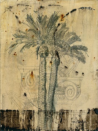 Framed Arid II Print