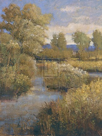 Framed Verde Valley Print