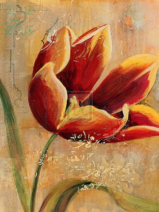 Framed Floral Promices III Print