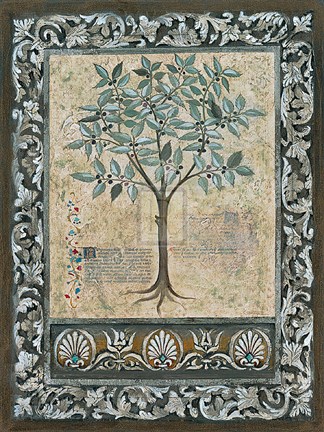 Framed Fresco Botanica I Print