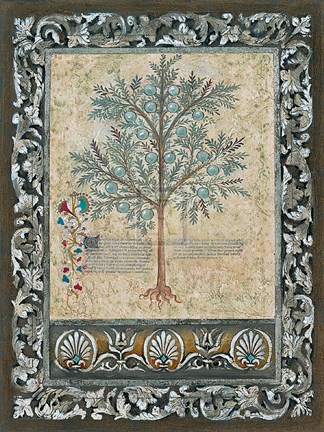 Framed Fresco Botanica II Print