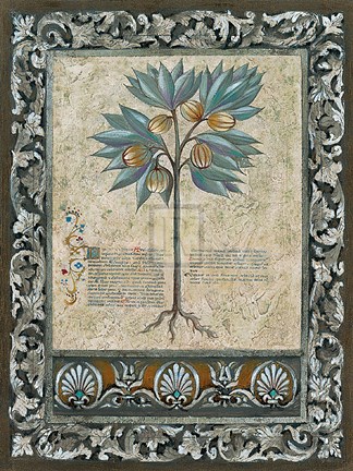 Framed Fresco Botanica III Print