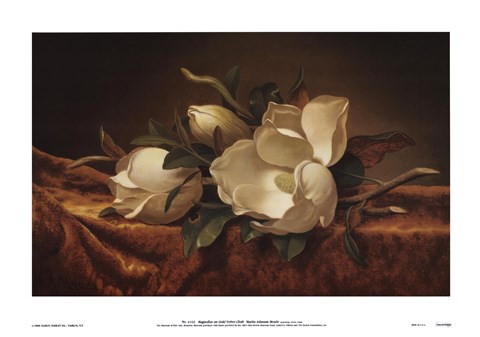 Framed Magnolia On Gold Velvet Cloth Print