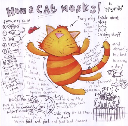 Framed How a Cat Works Print