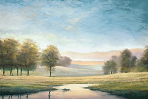 Framed Morning Reflection II Print