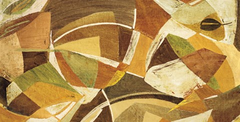 Framed Natural Beauty Print