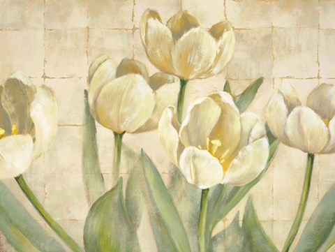 Framed White Tulips on Ivory Print