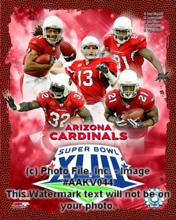 Framed 2008 Arizona Cardinals SuperBowl Big 5 Composite Print