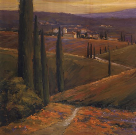 Framed Afternoon Walk I Print