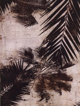 Framed Palms I Print