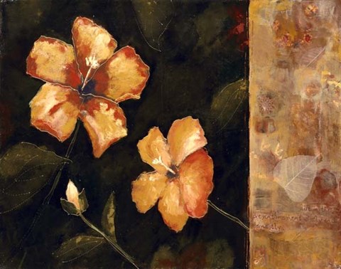 Framed First Impressions II Print