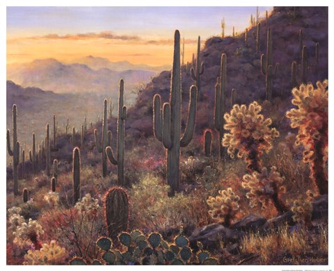 Framed Sonoran Sunset Print