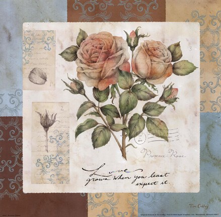 Framed Summer Roses Print