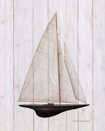 david carter brown sailboat