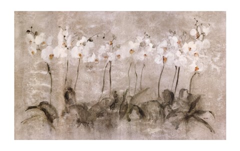 Framed White Dancing Orchids Print