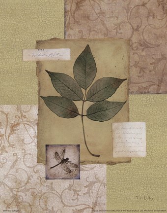 Framed Leaf Collage II Print