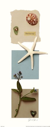 Framed Harmony Print