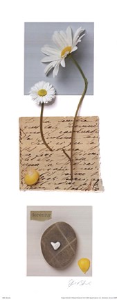 Framed Serenity Print