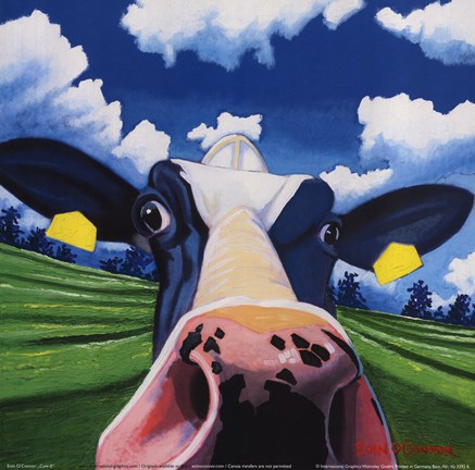 Framed Cow II - NOSEY COW Print