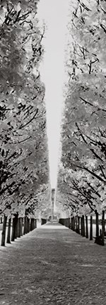 Framed Palais Royal - Paris - France Print