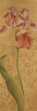 Framed Iris Elegance I Print