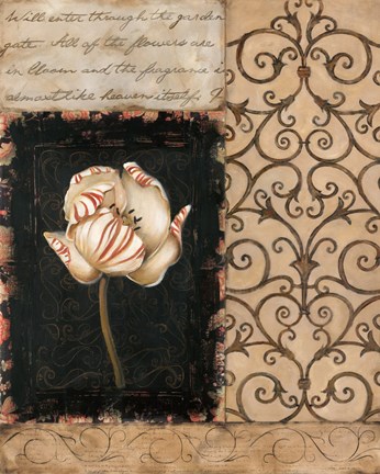 Framed Night Florescence II Print