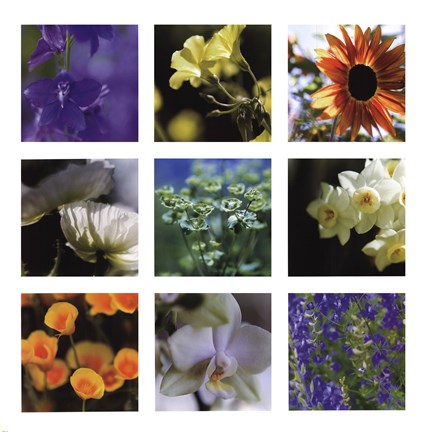 Framed Spring Awakening Print