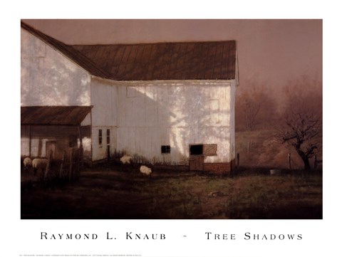 Framed Tree Shadows Print