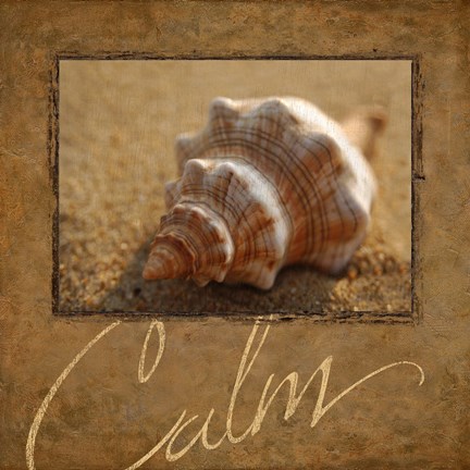 Framed Calm Print