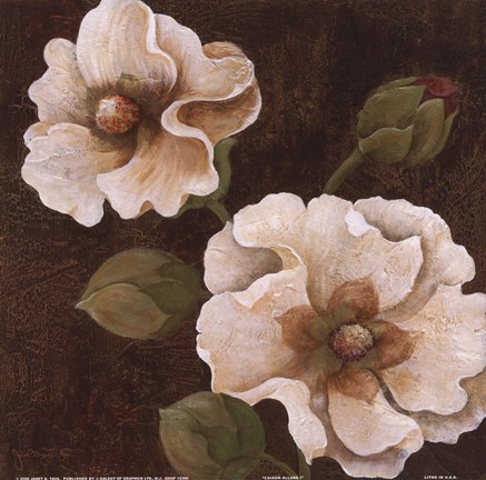 Framed Cacao Allure I Print