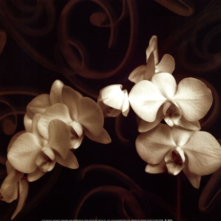 Framed Elegance Print