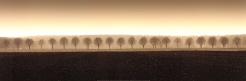 Framed Dappled Morning Fields Print